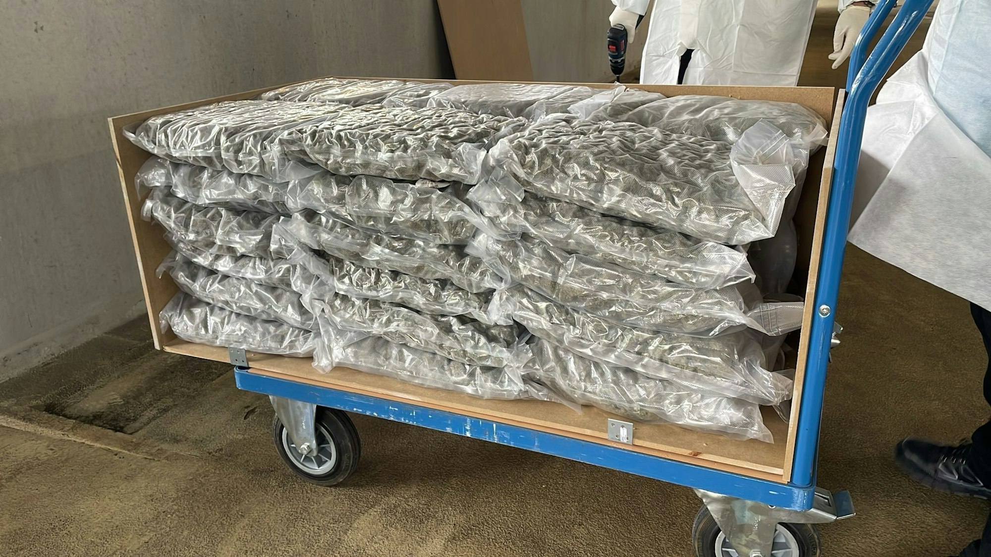 Das von der Bonner Polizei sichergestellte Marihuana.
