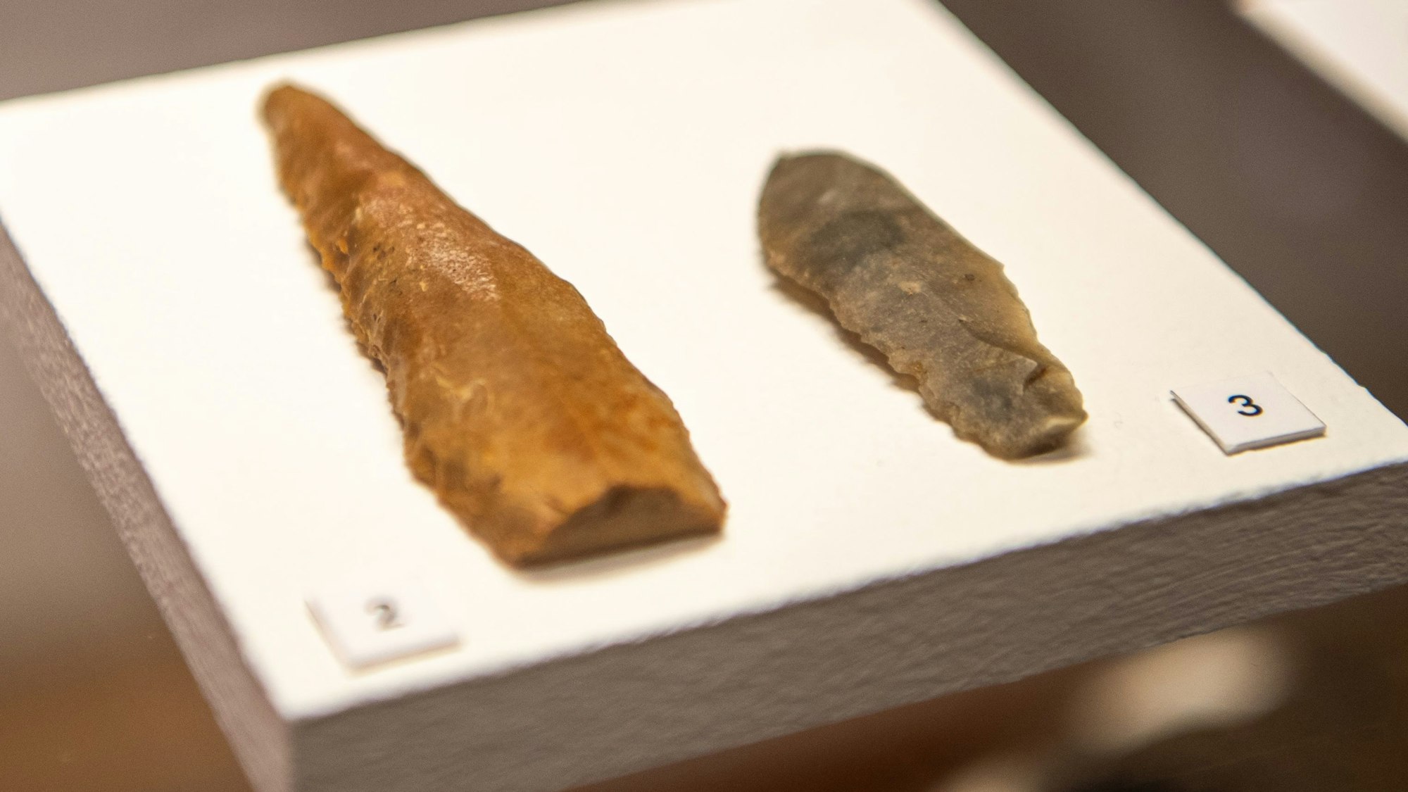 Das Bild zeigt zwei unterschiedlich große Dolchspitzen.