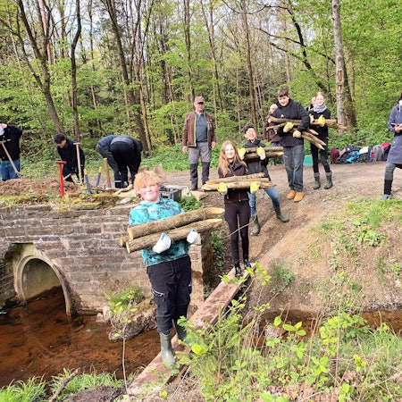 Jugendliche tragen angespitzte Holzstämme