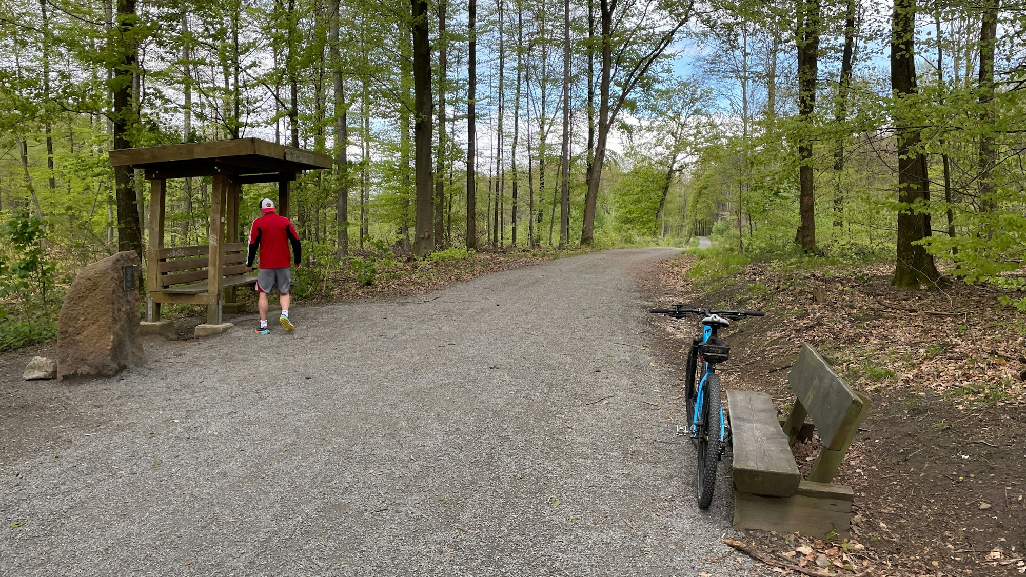 Waldweg am Monte Trodelöh