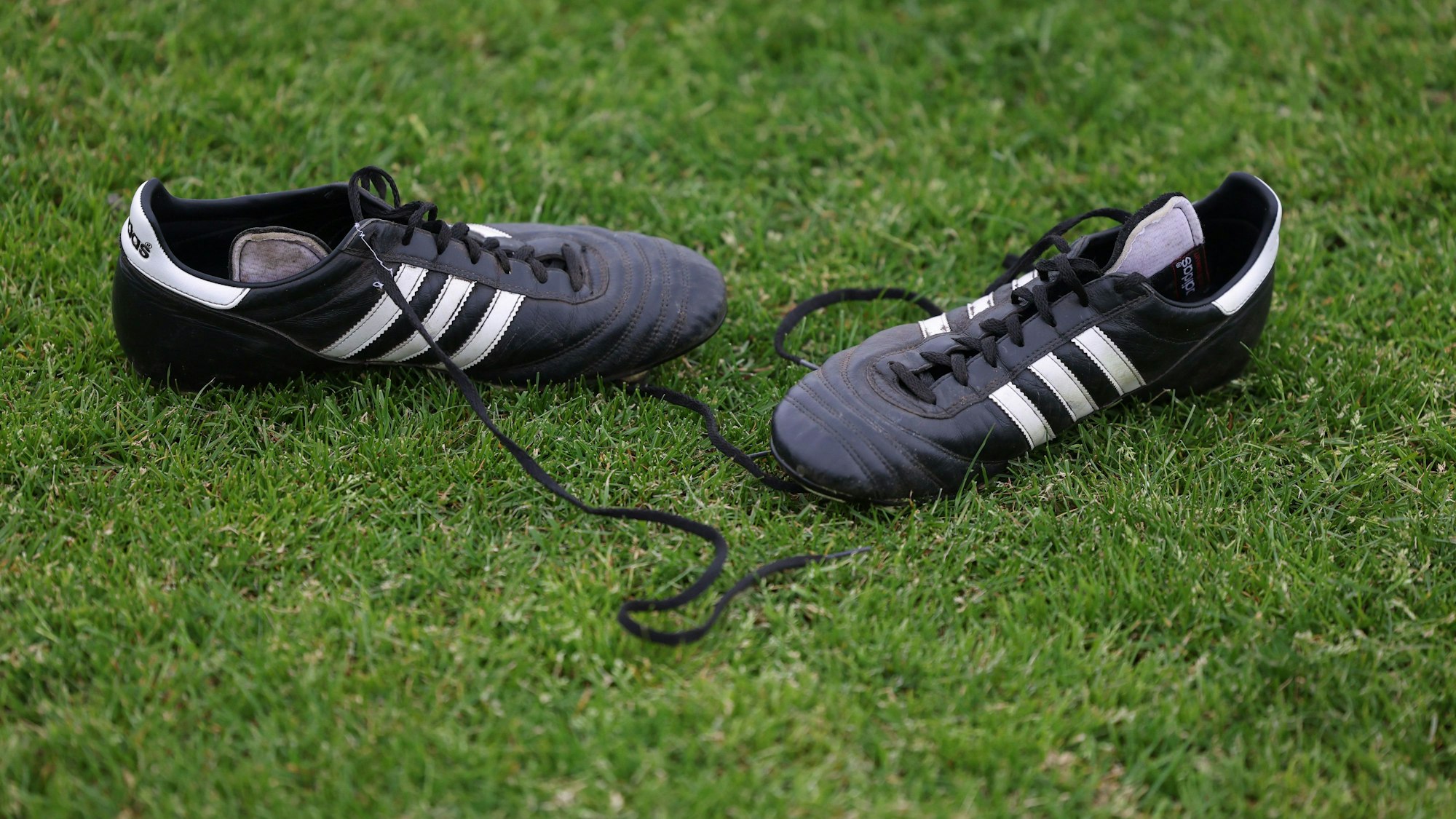 Nicht nur für die höheren Klassen, auch für den Amateurbereich gibt es eine App mit Tabellen, Statistiken und Marktwert.