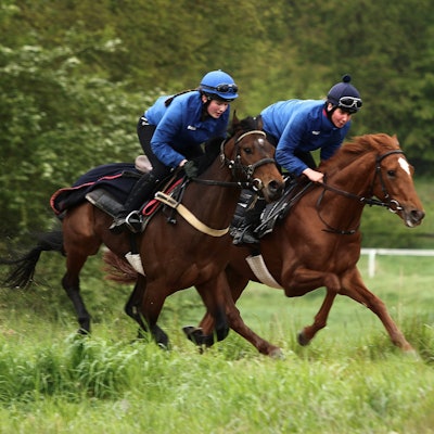 Zwei Jockeys sind auf Pferden in schnellen Tempo unterwegs. Im Hintergrund sieht man die Umrandungen einer Rennstrecke.