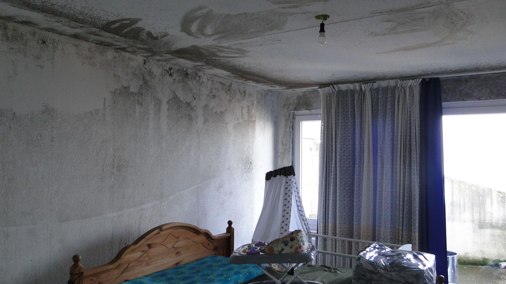 In dieser Wohnung eines Hauses der Osloer Straße hat sich der Schimmel großflächig ausgebreitet.