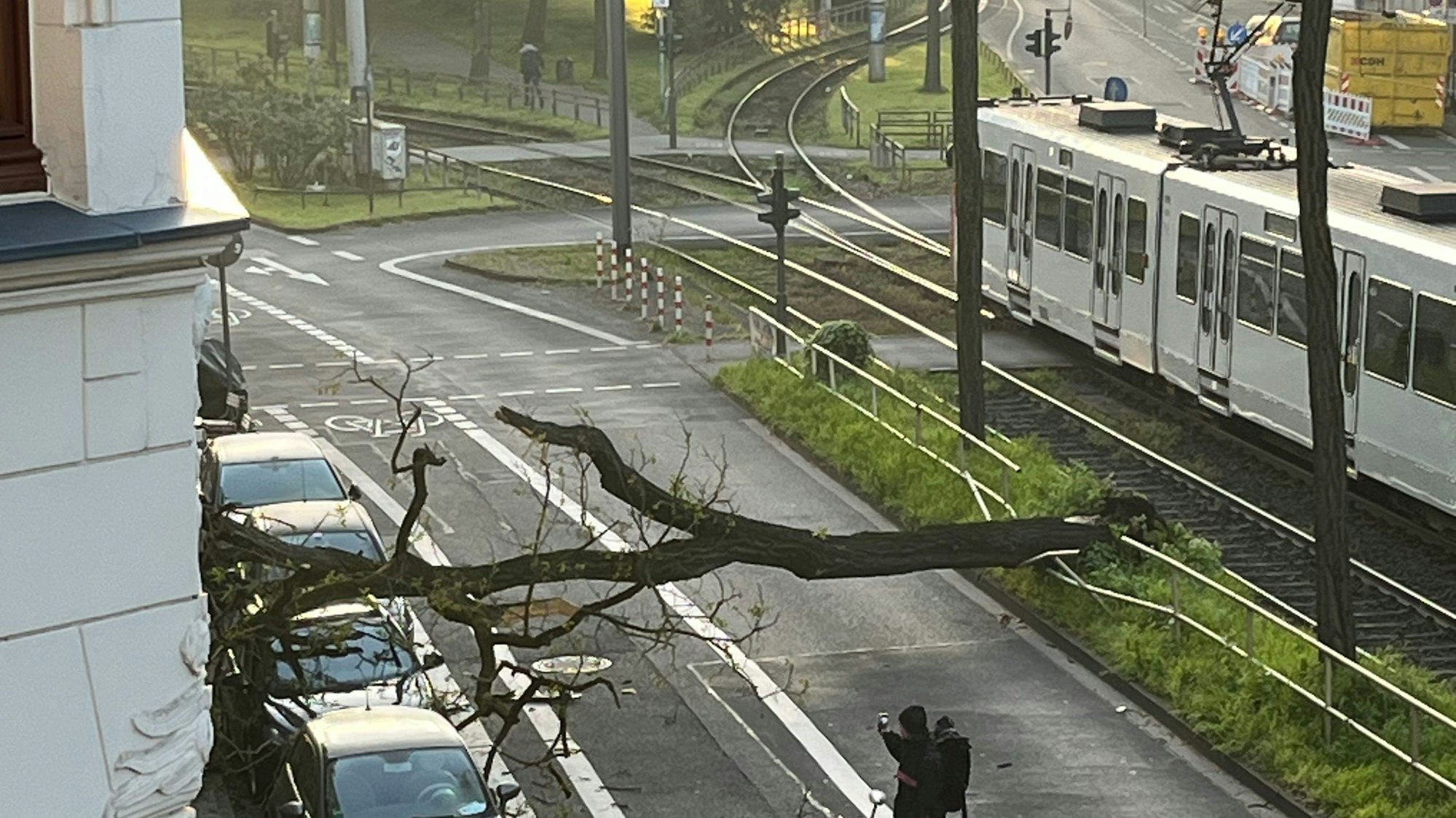 Ein Baum liegt umgestürzt auf dem Ubierring in Köln.