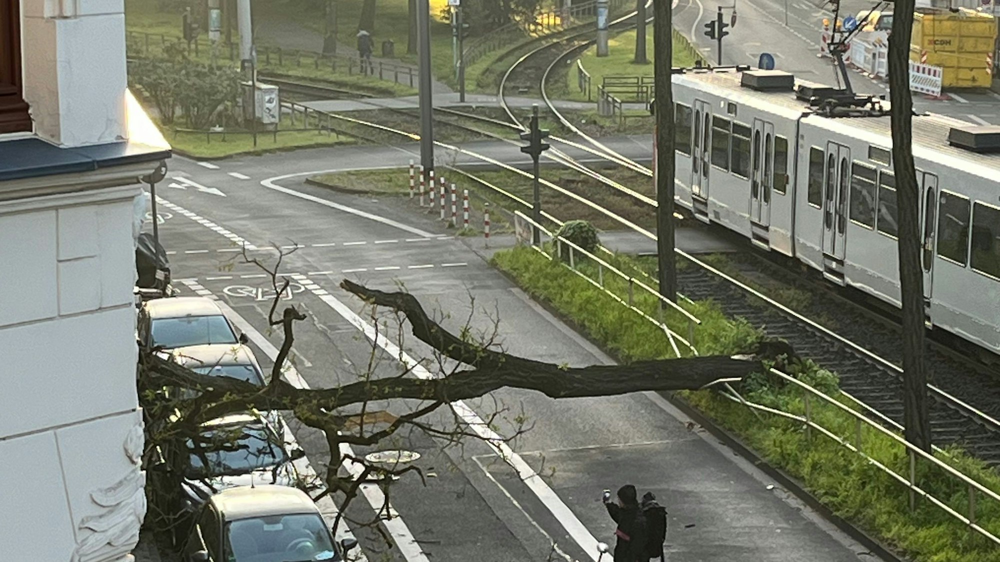 Ein Baum liegt umgestürzt auf dem Ubierring in Köln.