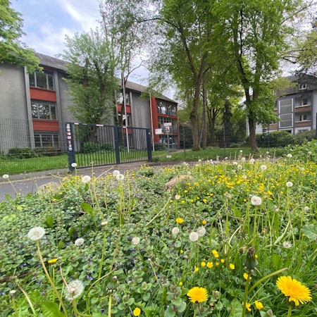 Bündnis Porz-Mitte setzt im Beirat einen Antrag durch, um die große Grünfläche nach einem Auszug des Berufskollegs von Bebauung frei zu halten