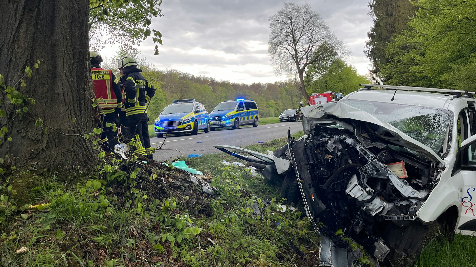 Ein schwer beschädigtes Auto steht auf einer Wiese.