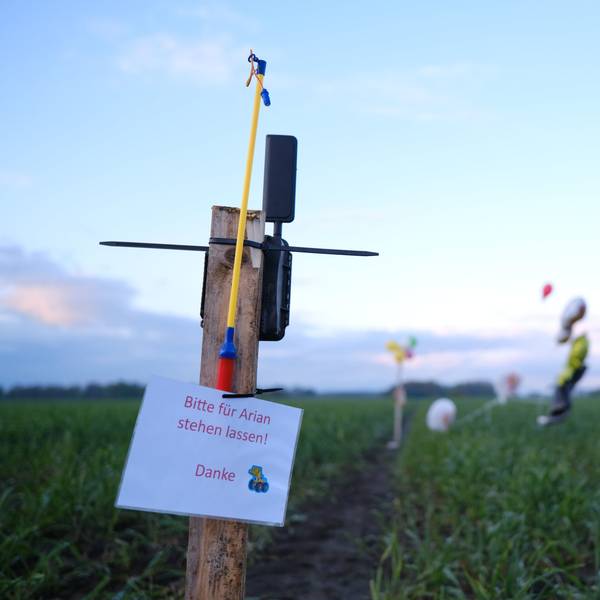 Ballons, Süßigkeiten und eine Wildkamera stehen auf einem Feld bei Bremervörde. Von einem vermissten sechs Jahre alten Jungen aus dem niedersächsischen Bremervörde fehlt noch immer jede Spur.