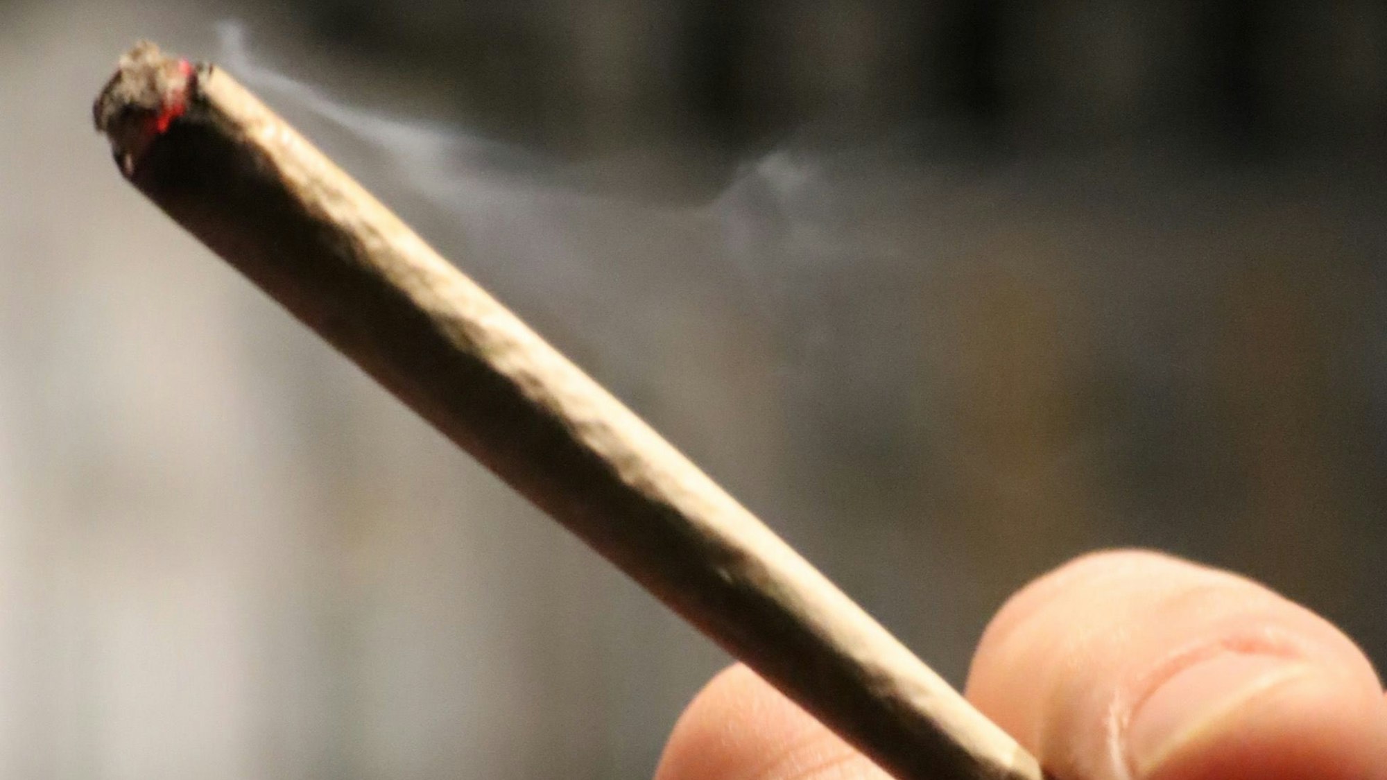 Auf dem Foto ist zu sehen, wie jemand einen Joint in der Hand hält.