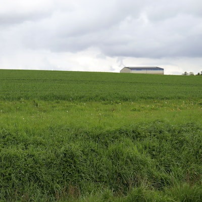 Die Fläche, die als Wohngebiet vorgesehen ist, wird gegenwärtig landwirtschaftlich genutzt.