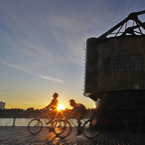 Radfahrer fahren in der Morgensonne am Rhein entlang