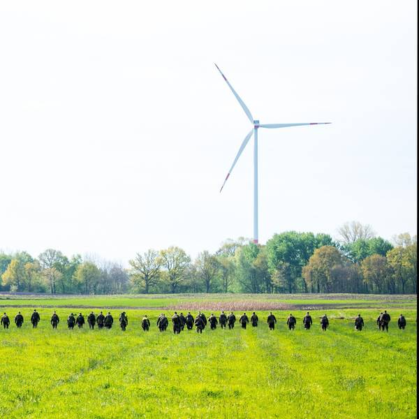 Bundeswehrsoldaten suchen mit einer Menschenkette auf einem Feld nach einem vermissten Jungen. Der sechs Jahre alte Arian aus Elm wird weiter vermisst.