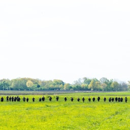 Bundeswehrsoldaten suchen mit einer Menschenkette auf einem Feld nach einem vermissten Jungen. Der sechs Jahre alte Arian aus Elm wird weiter vermisst.
