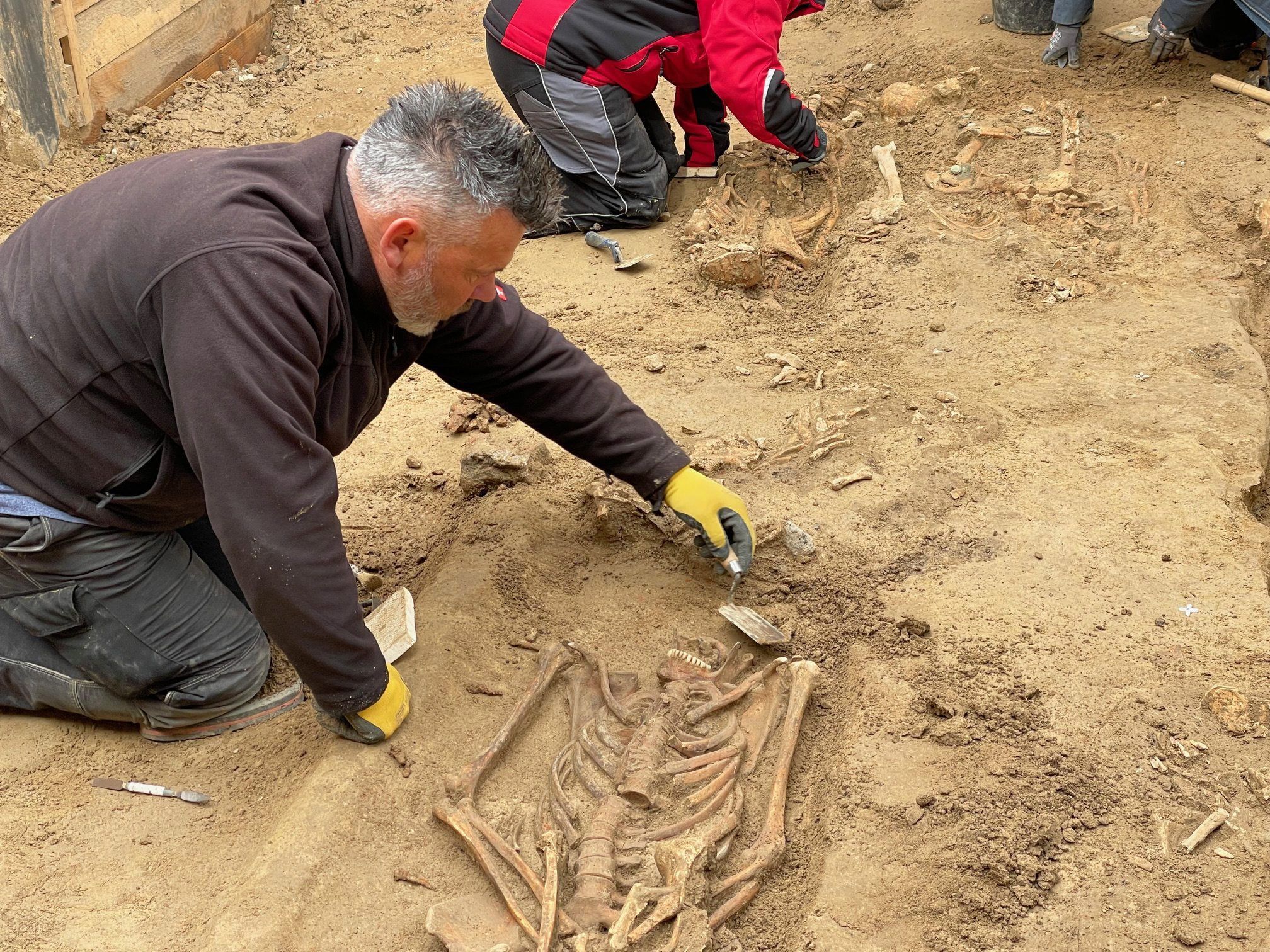 PRODUKTION - 26.04.2024, Nordrhein-Westfalen, Düsseldorf: Archäologen legen Skelette in der Baugrube des Neubaus des Gästehauses des Landtags frei.