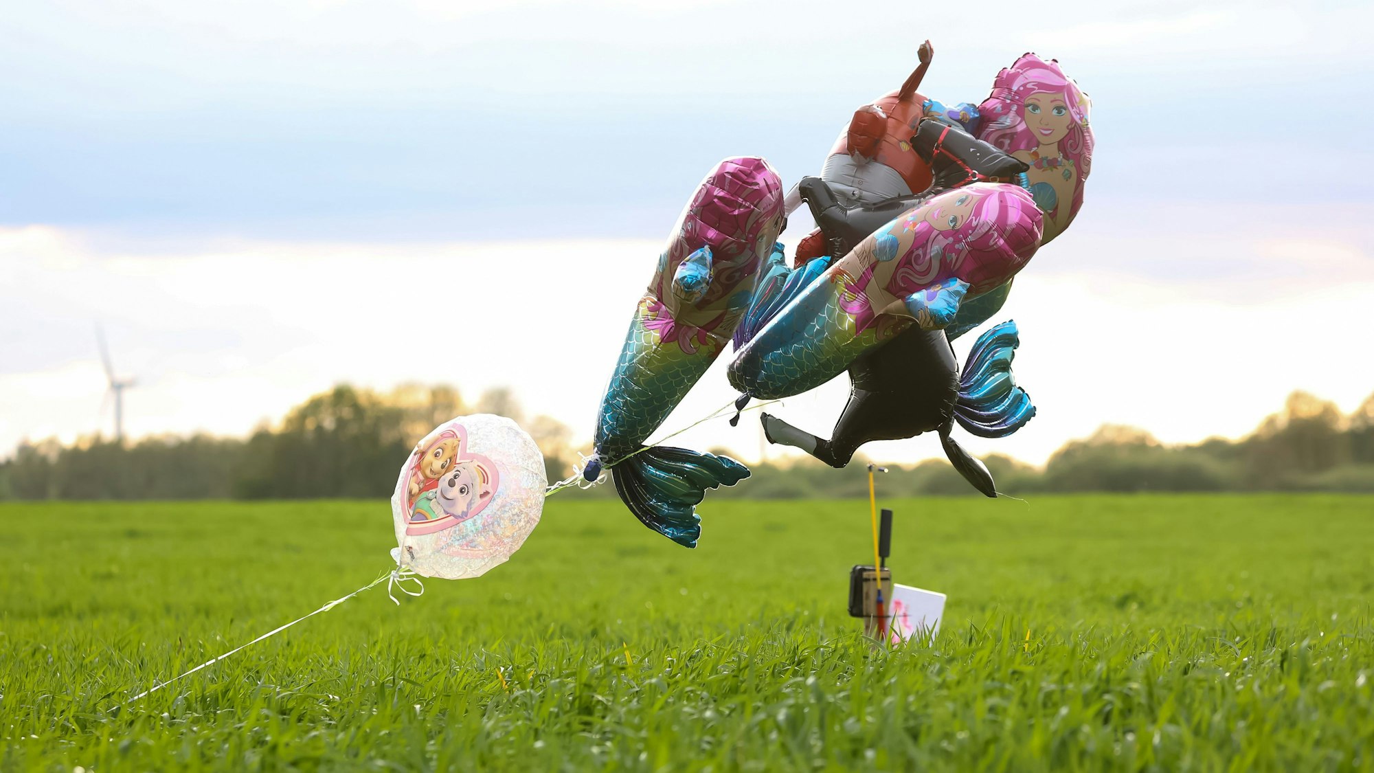 Mit bunten Luftballons und Schokolade will die Polizei den vermissten Arian anlocken. Der Sechsjährige könnte sich versteckt haben und enorm verängstigt sein.