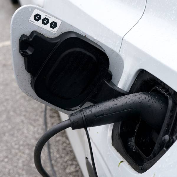 Elektrofahrzeuge sind laut Umfrage derzeit unbeliebt.