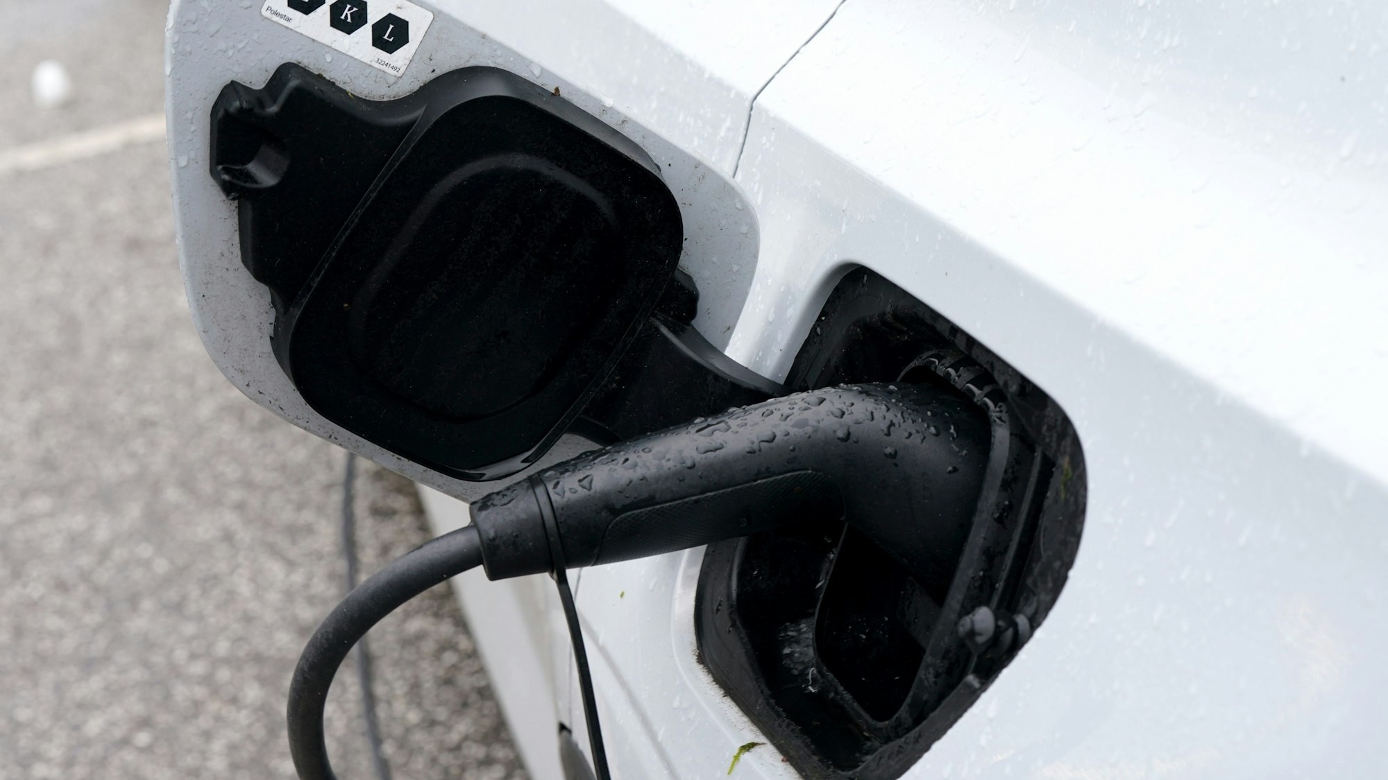 Elektrofahrzeuge sind laut Umfrage derzeit unbeliebt.