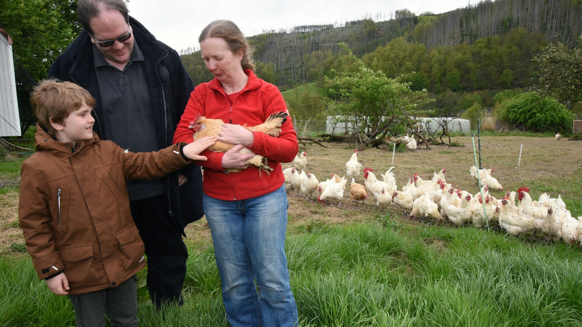 Ein kleiner Junge streichelt ein Huhn, das eine Frau auf dem Arm hält, ein Mann sieht zu.