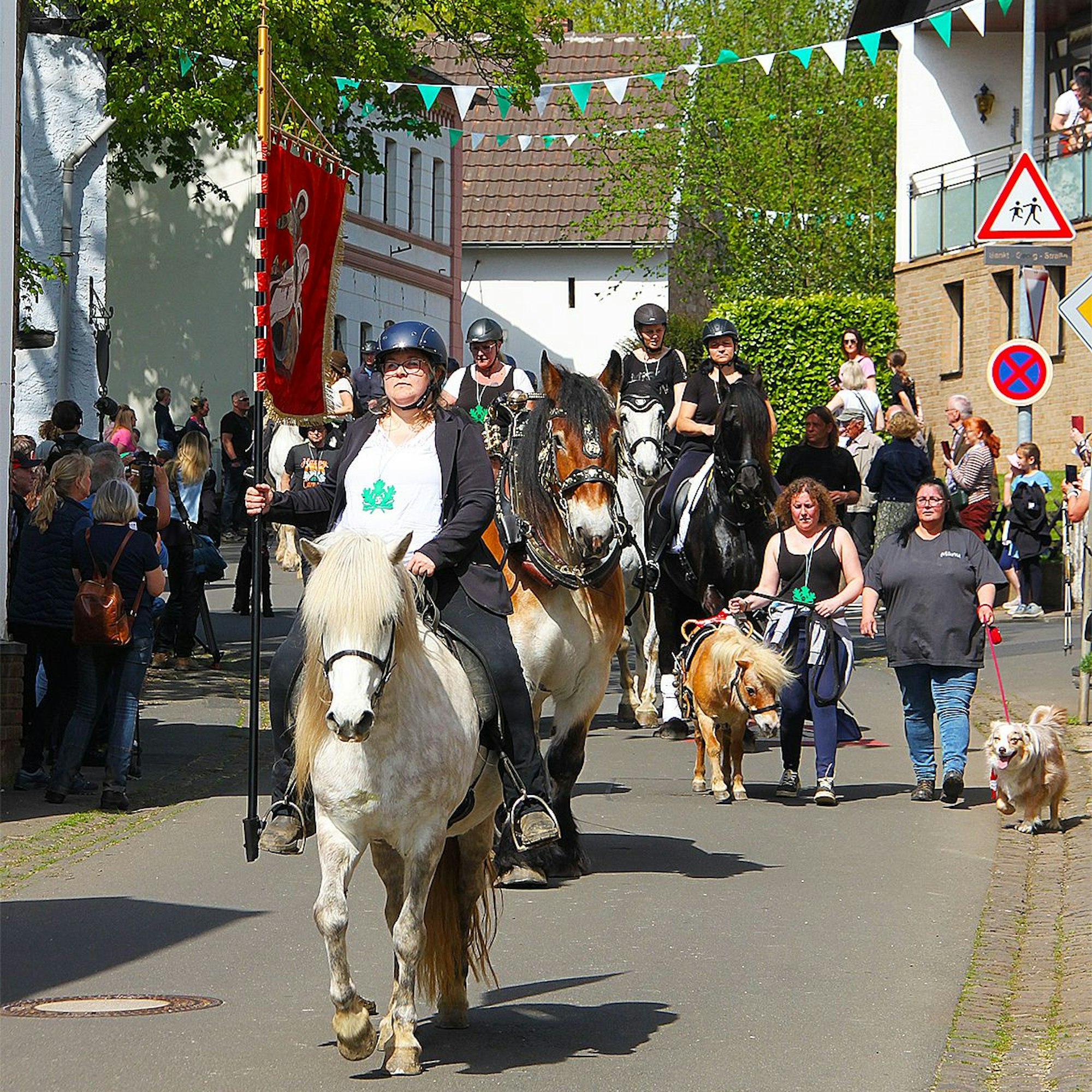 Judith Daniels reitet auf einem weißen Pferd durch das mit Wimpeln geschmückte Kallmuth, hinter ihr die ersten Teilnehmer der Prozession. Am Straßenrand schauen Leute zu.