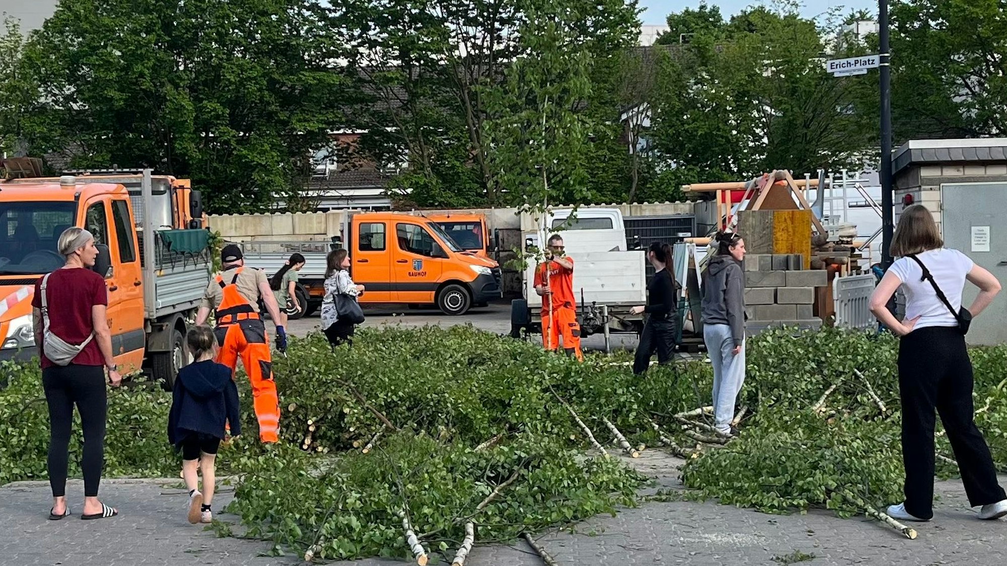 Auf dem Bauhof der Stadt Pulheim lagen 350 Birken, die für fünf Euro gekauft werden konnten.