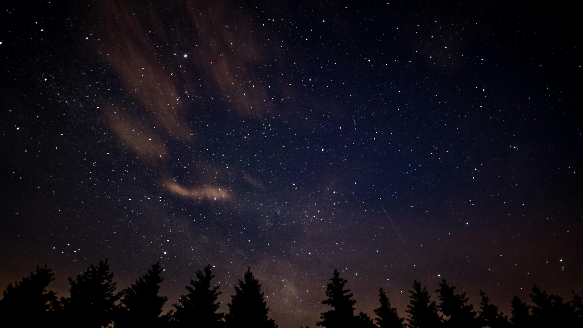 Das Bild zeigt den Nachthimmel über einem Wald.