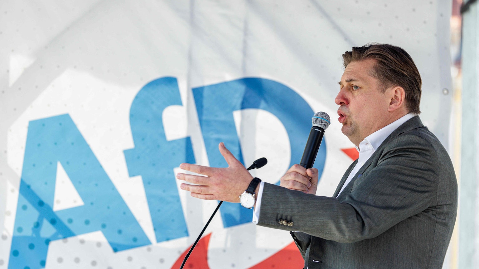 AfD-Politiker Maximilian Krah