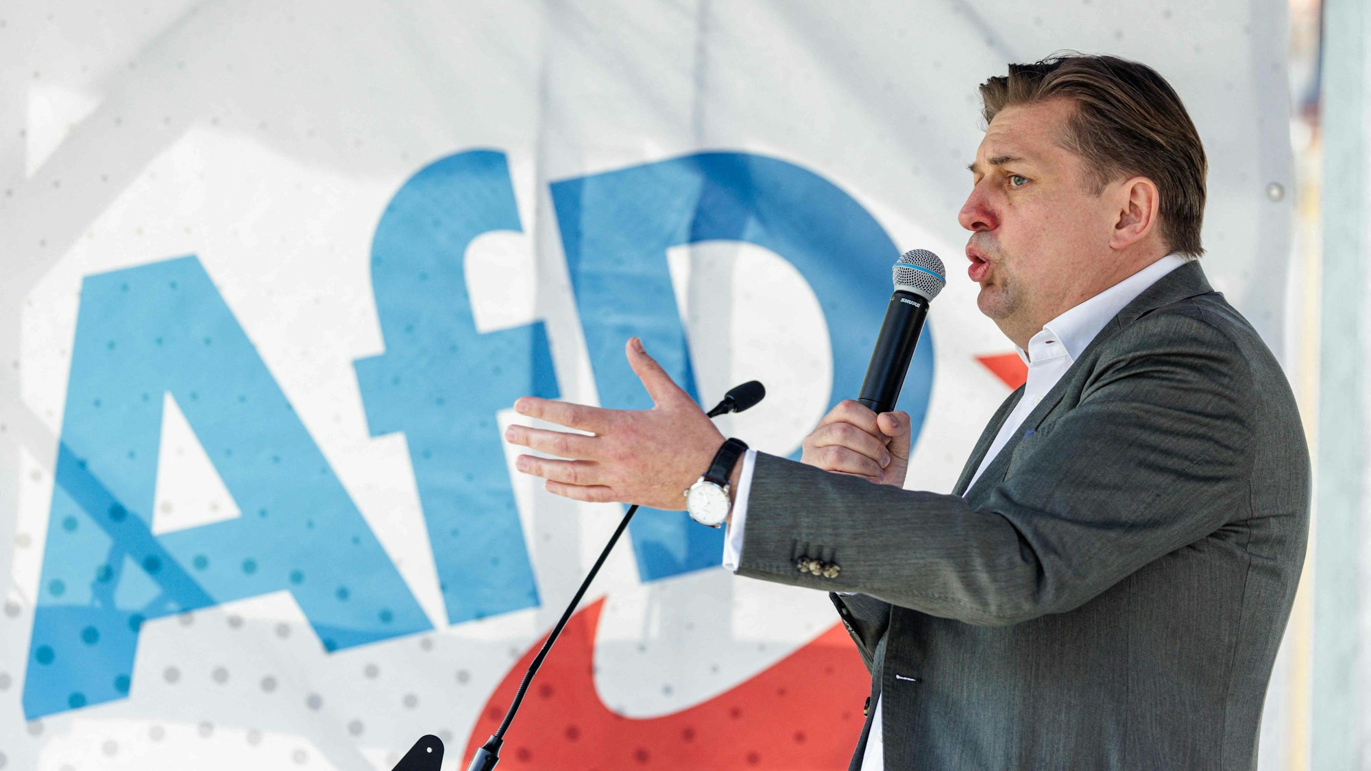 AfD-Politiker Maximilian Krah