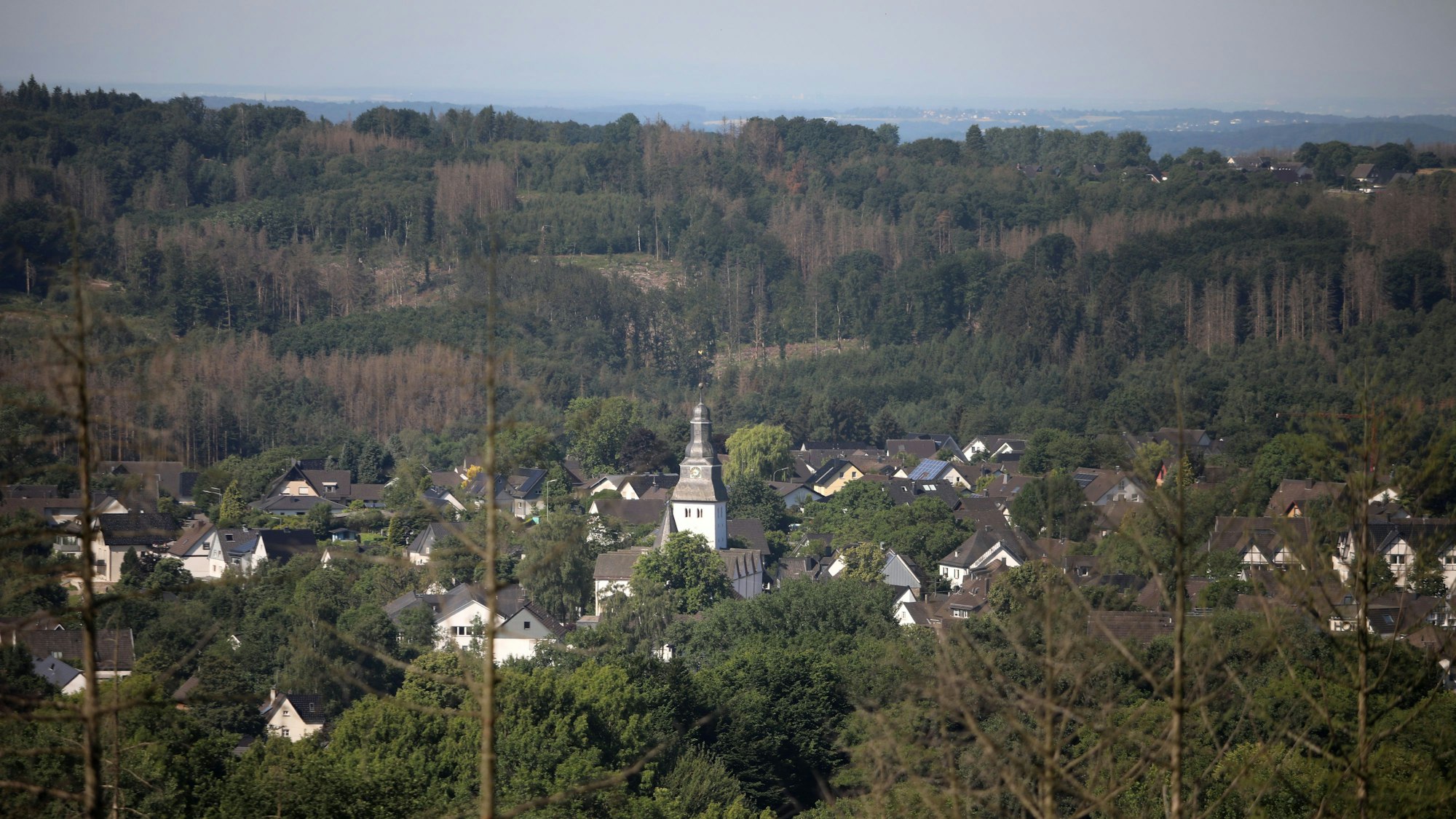Ausblick während der Wanderung auf Ort mit Kirchturm sowie Bäume