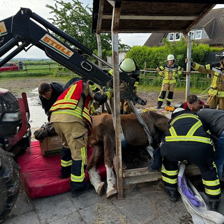 Mehrere Einsatzkräfte sind dabei, das auf der Seite liegende Pferd zu retten. Auch ein Traktor kam zum Einsatz.
