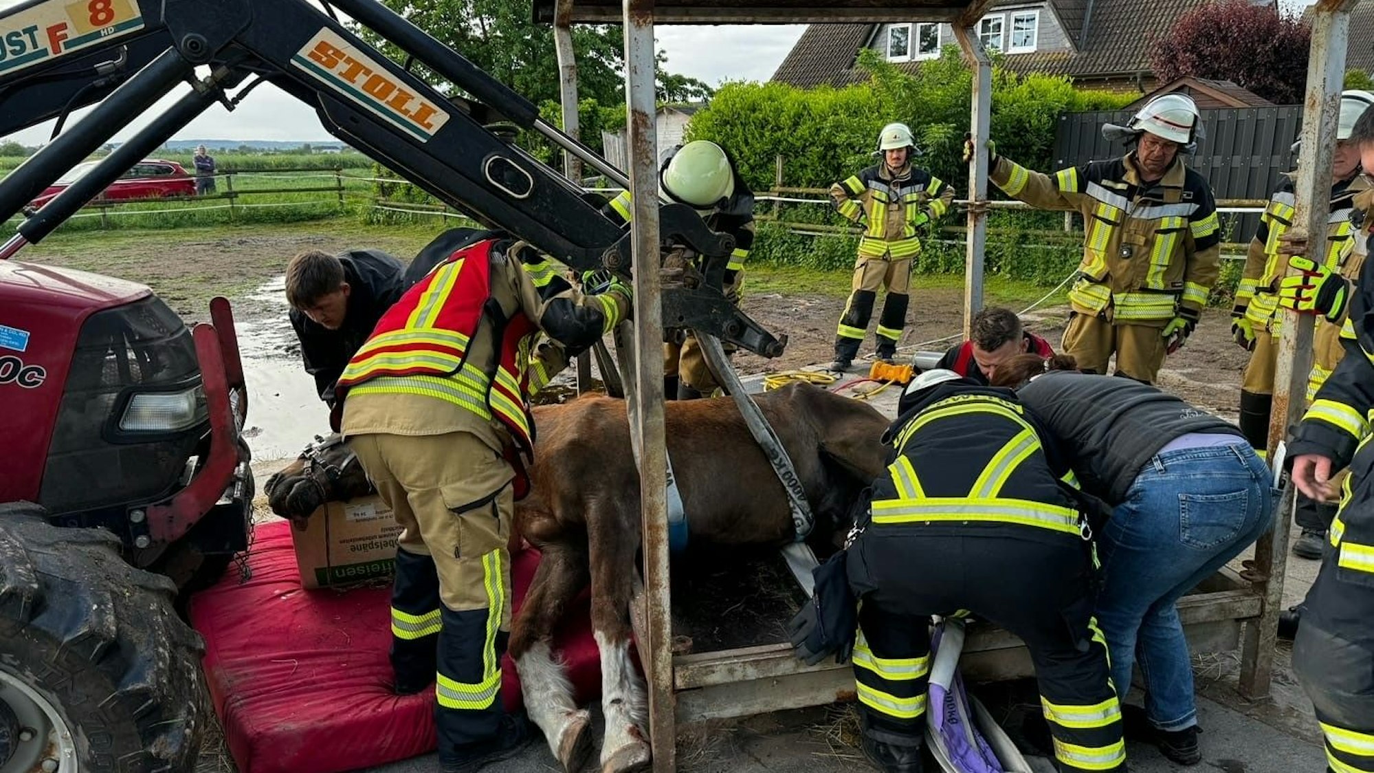 Mehrere Einsatzkräfte sind dabei, das auf der Seite liegende Pferd zu retten. Auch ein Traktor kam zum Einsatz.