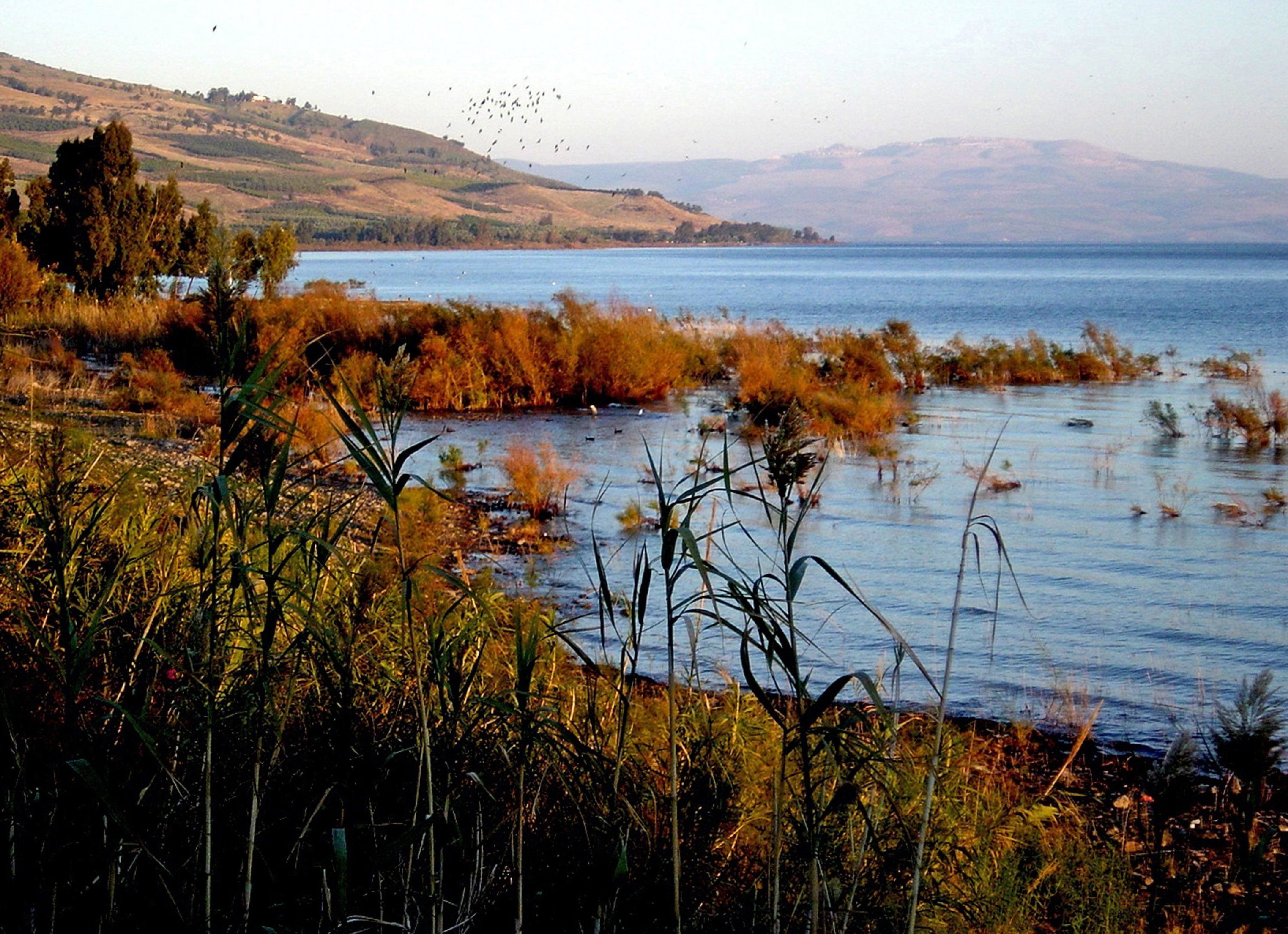 Aufnahme des See Genezareth (Archivbild)