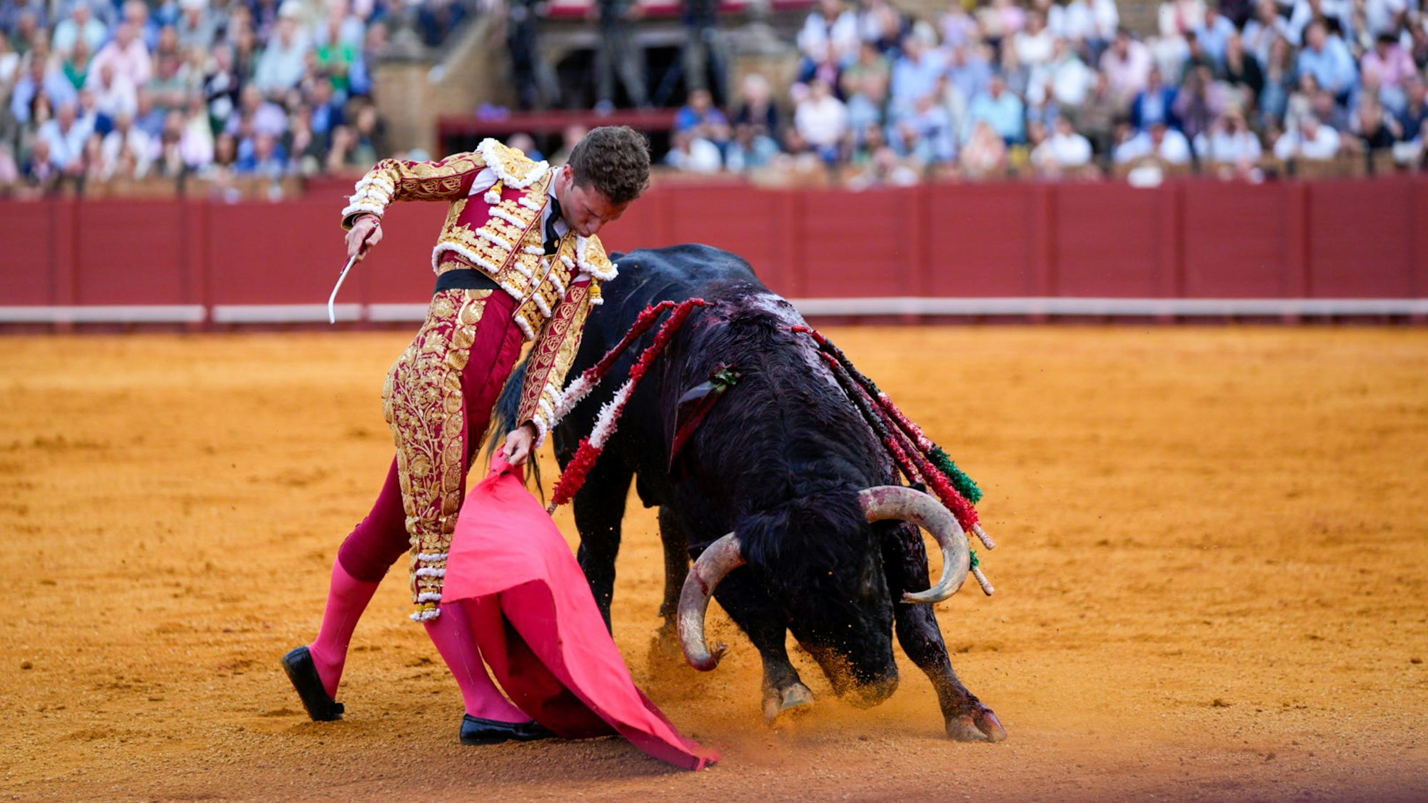 Der Stierkämpfer Juan Pedro García "Calerito" während eines Stierkampfes.