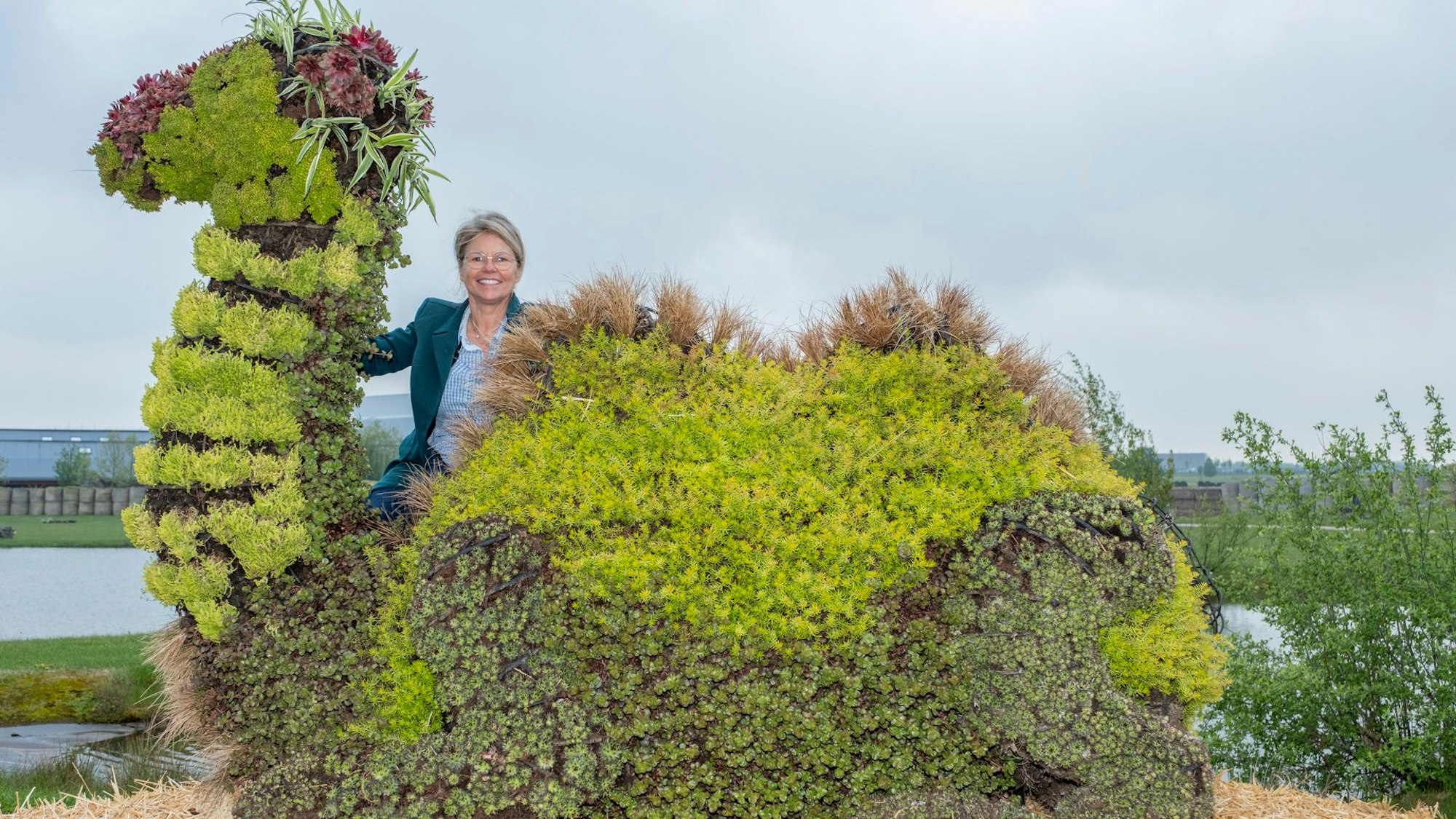 Das Foto zweigt eine Blumenskulptur in Form eines liegenden Kamels.