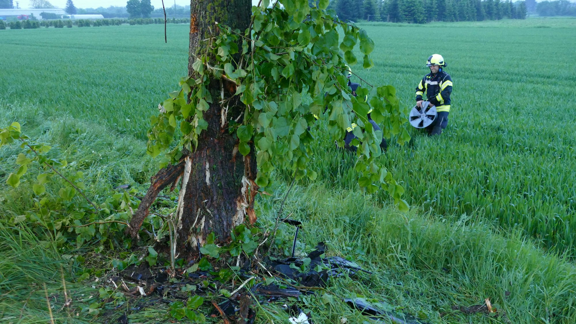 Ein verletzter Baum, dahinter hält ein in einem Feld stehender Feuerwehrmann eine Radkappe in der Hand.