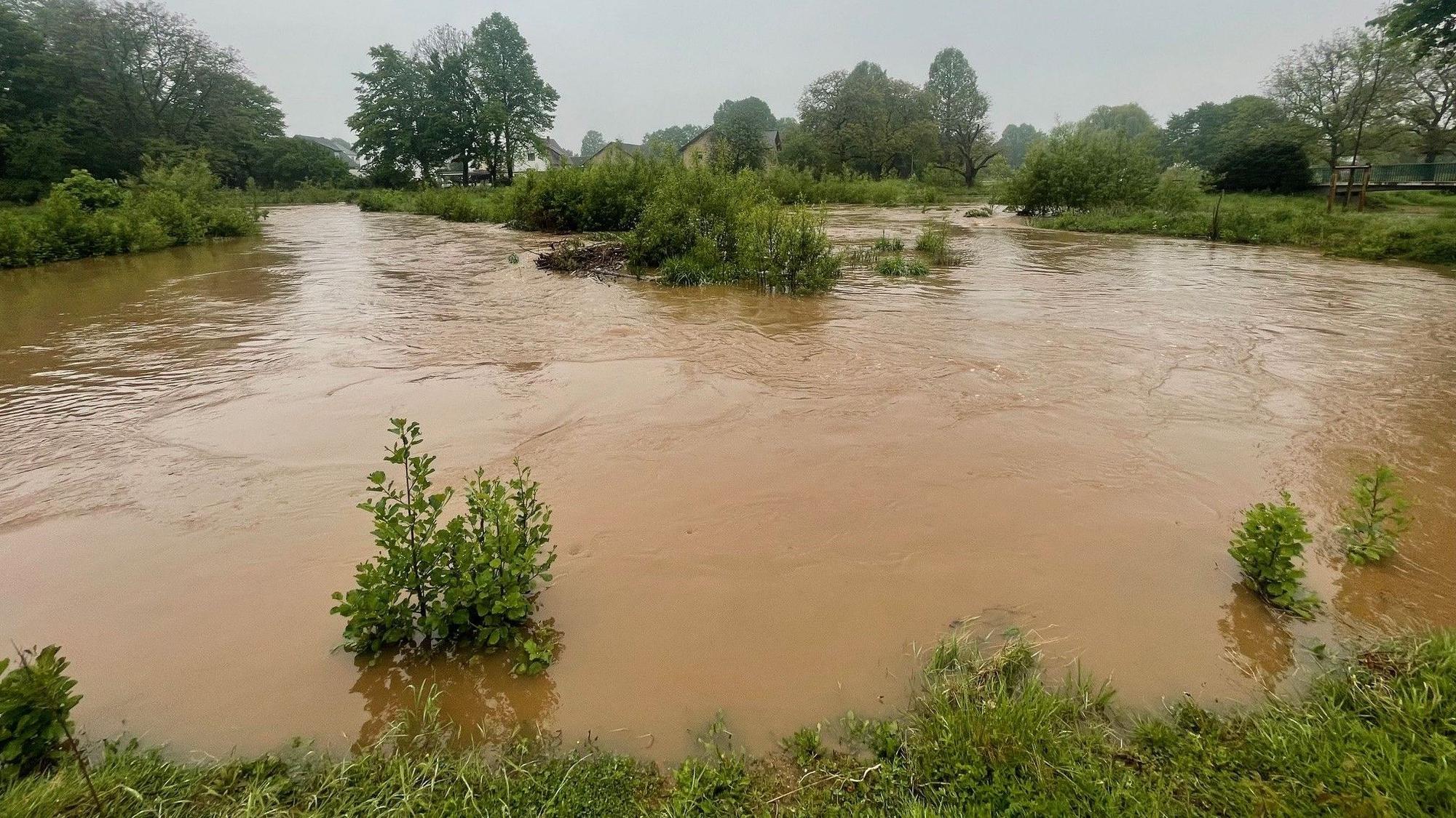 Das Bild zeigt einen Abschnitt der Erft in der Erftaue. Das Wasser ist teilweise schon aus dem Flussbett getreten.