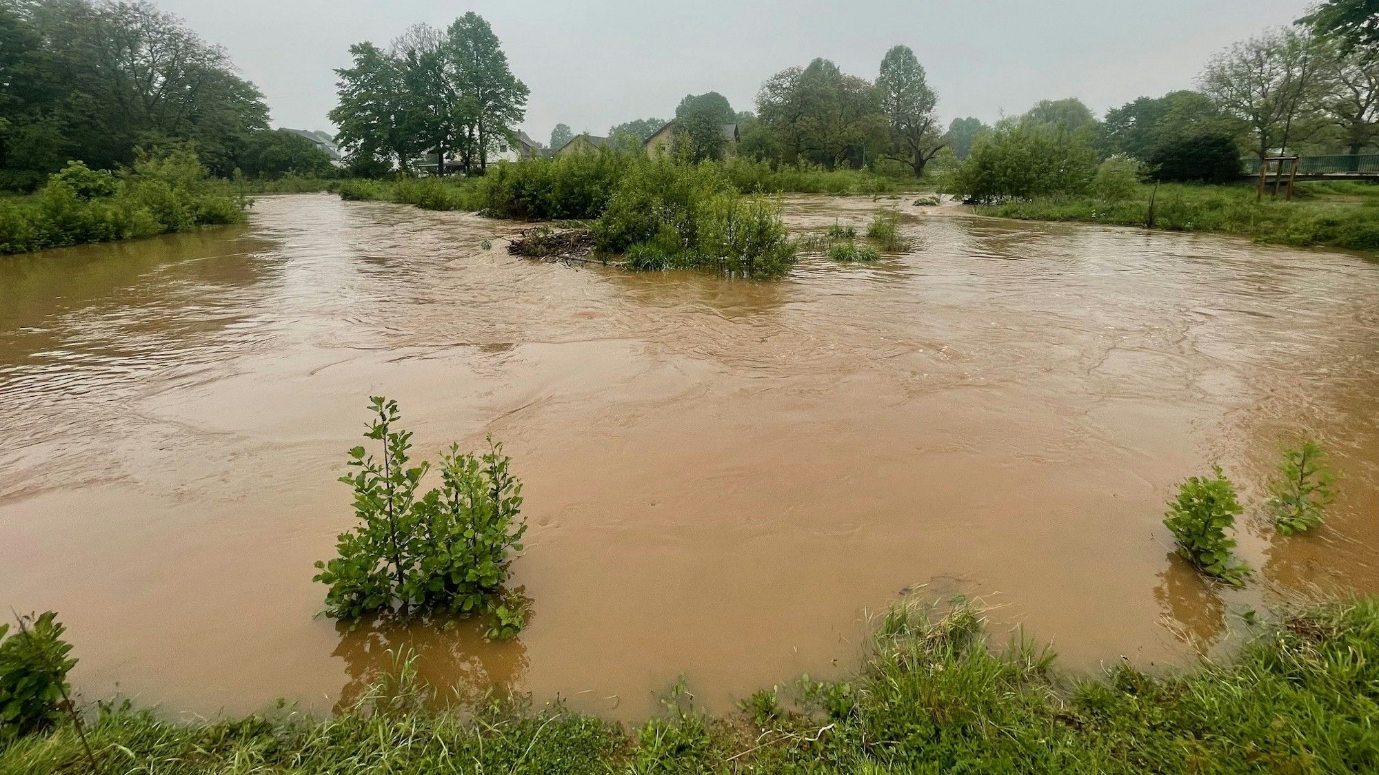 Das Bild zeigt einen Abschnitt der Erft in der Erftaue. Das Wasser ist teilweise schon aus dem Flussbett getreten.