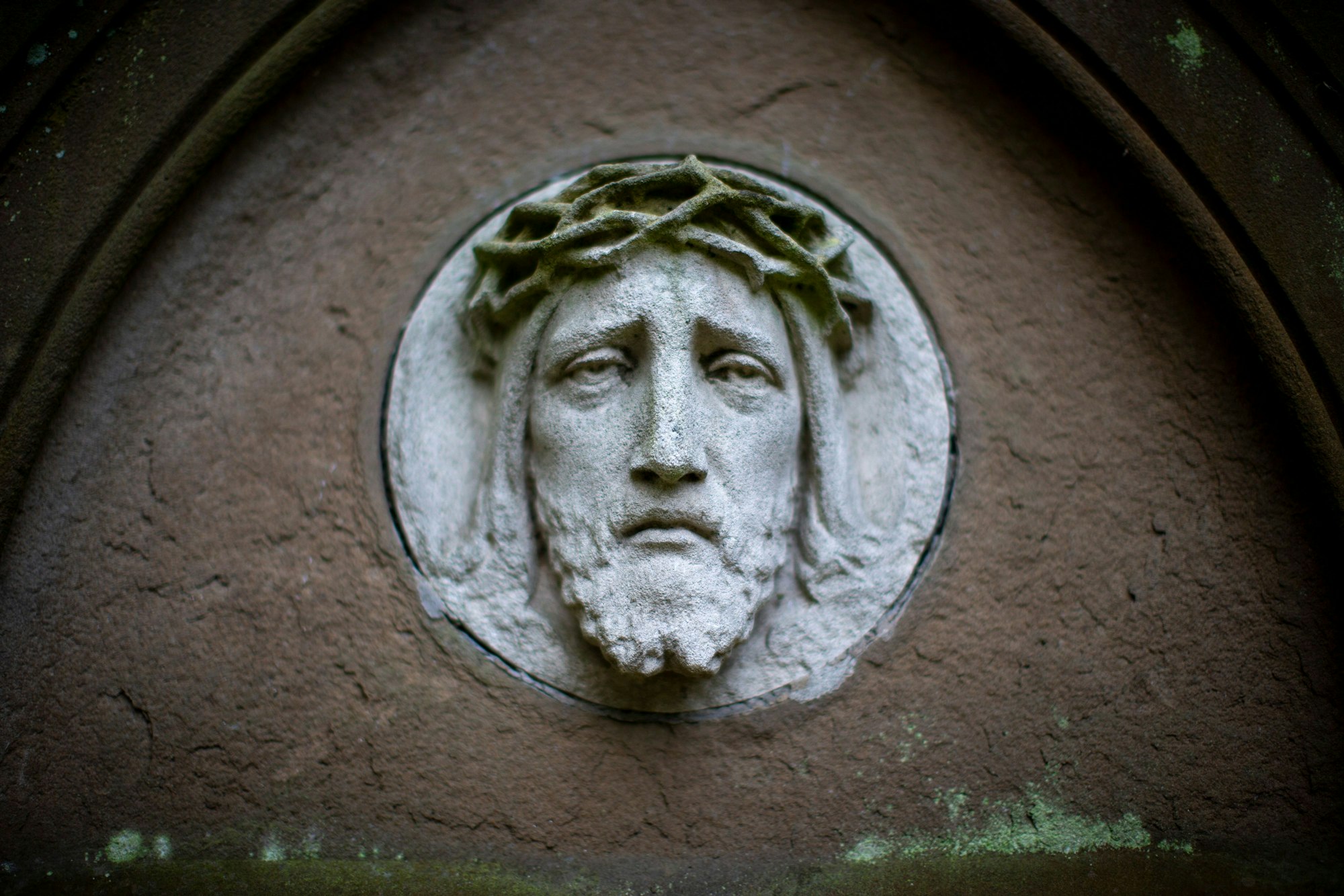 Zahlreiche Führungen werden über Melaten angeboten.