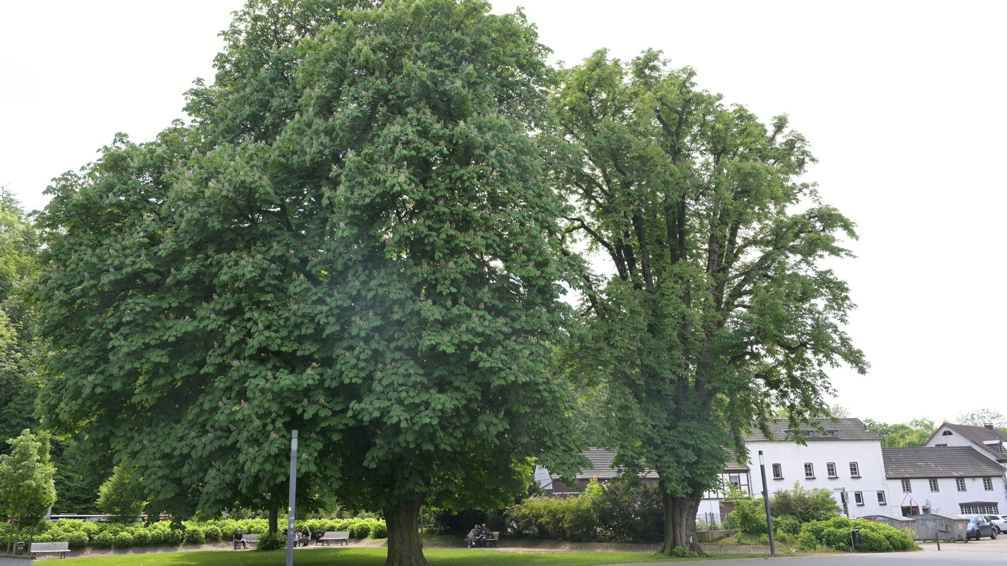 Der Forumpark Bergisch Gladbach im Mai 2024.