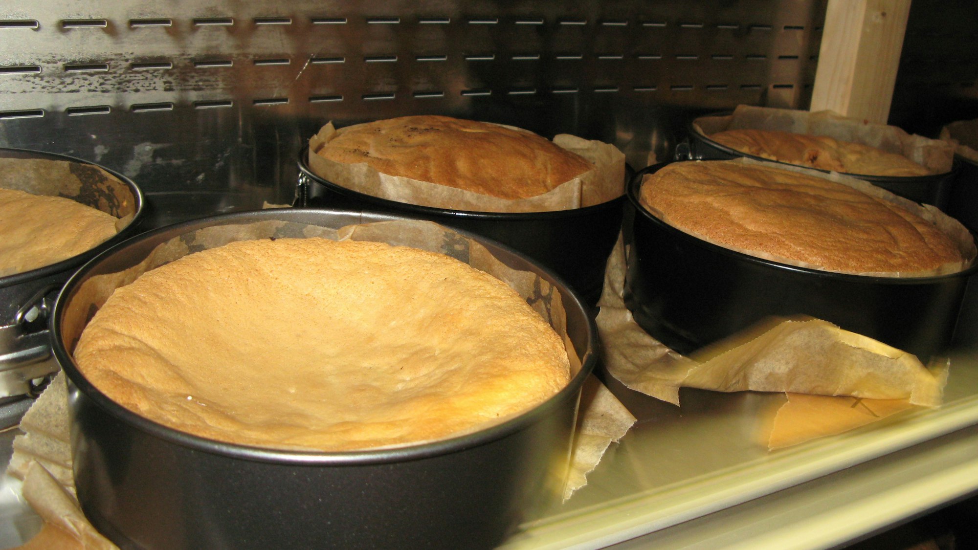 Blick in den Backofen, in dem mehrere Springformen mit aufgegangenem Teig stehen.