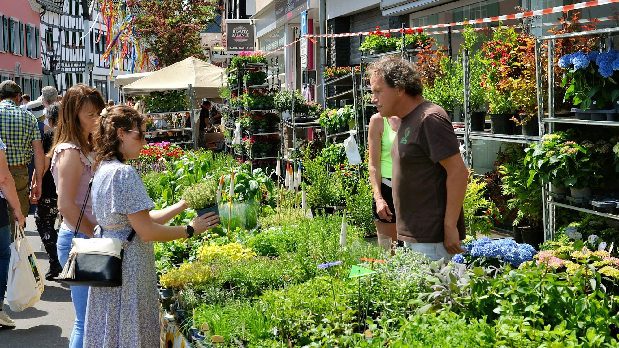 Frauen stehen an eine Marktstand mit Kräutern und anderen Pflanzen.