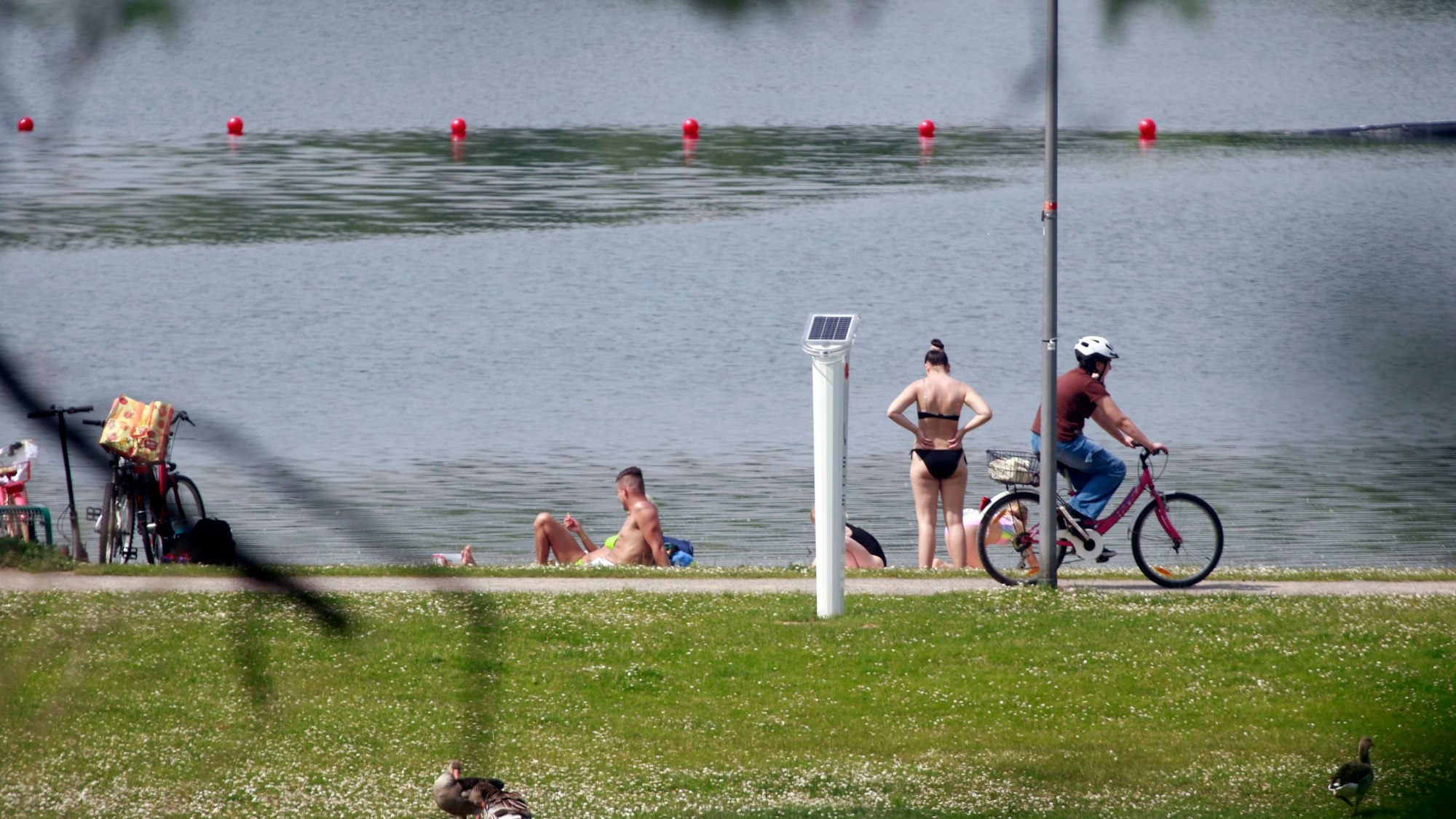 Blick auf den Fühlinger See Mitte Mai.