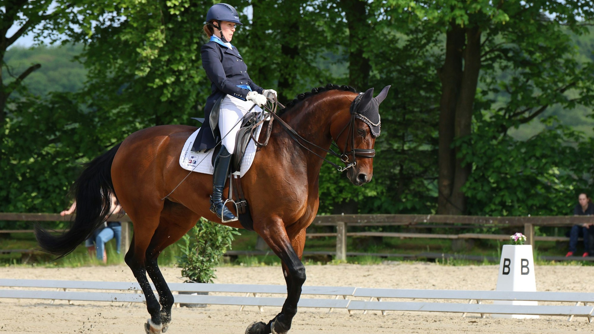 Im Bild ist eine Frau auf einem Pferd zu sehen.