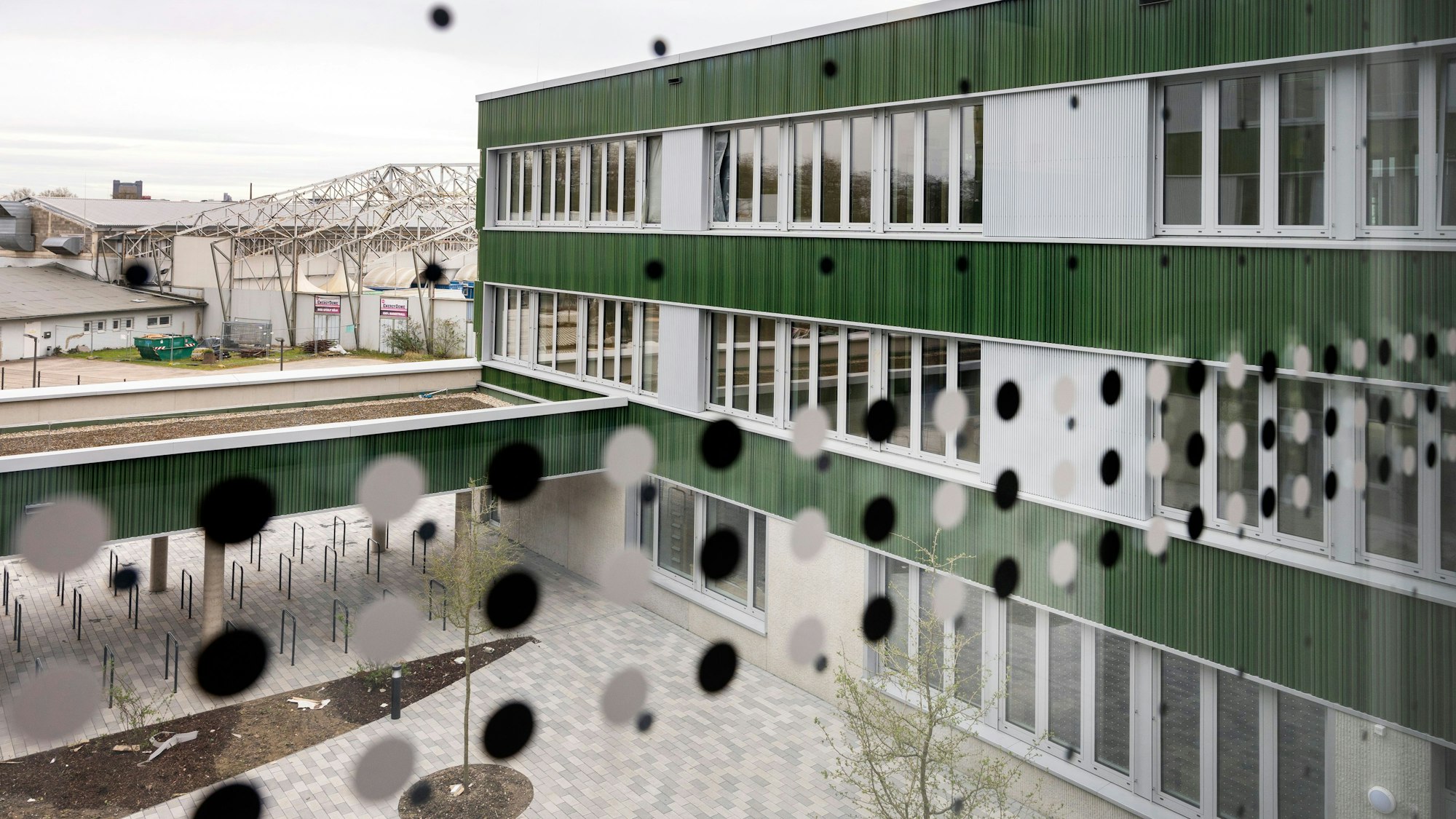 Fensterfront mit Vogelschutz am Schulneubau der Gesamtschule Wasseramselweg