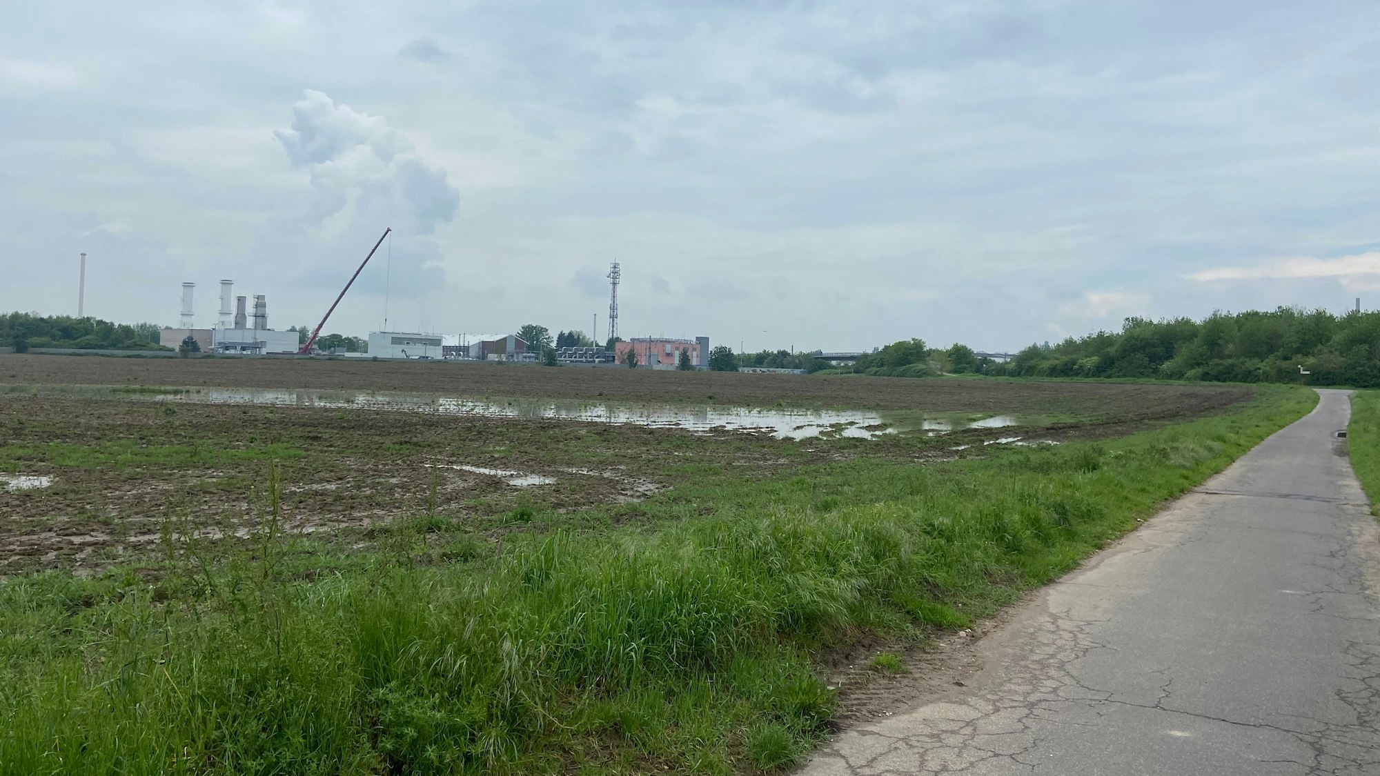 Überflutete landwirtschaftliche Fläche