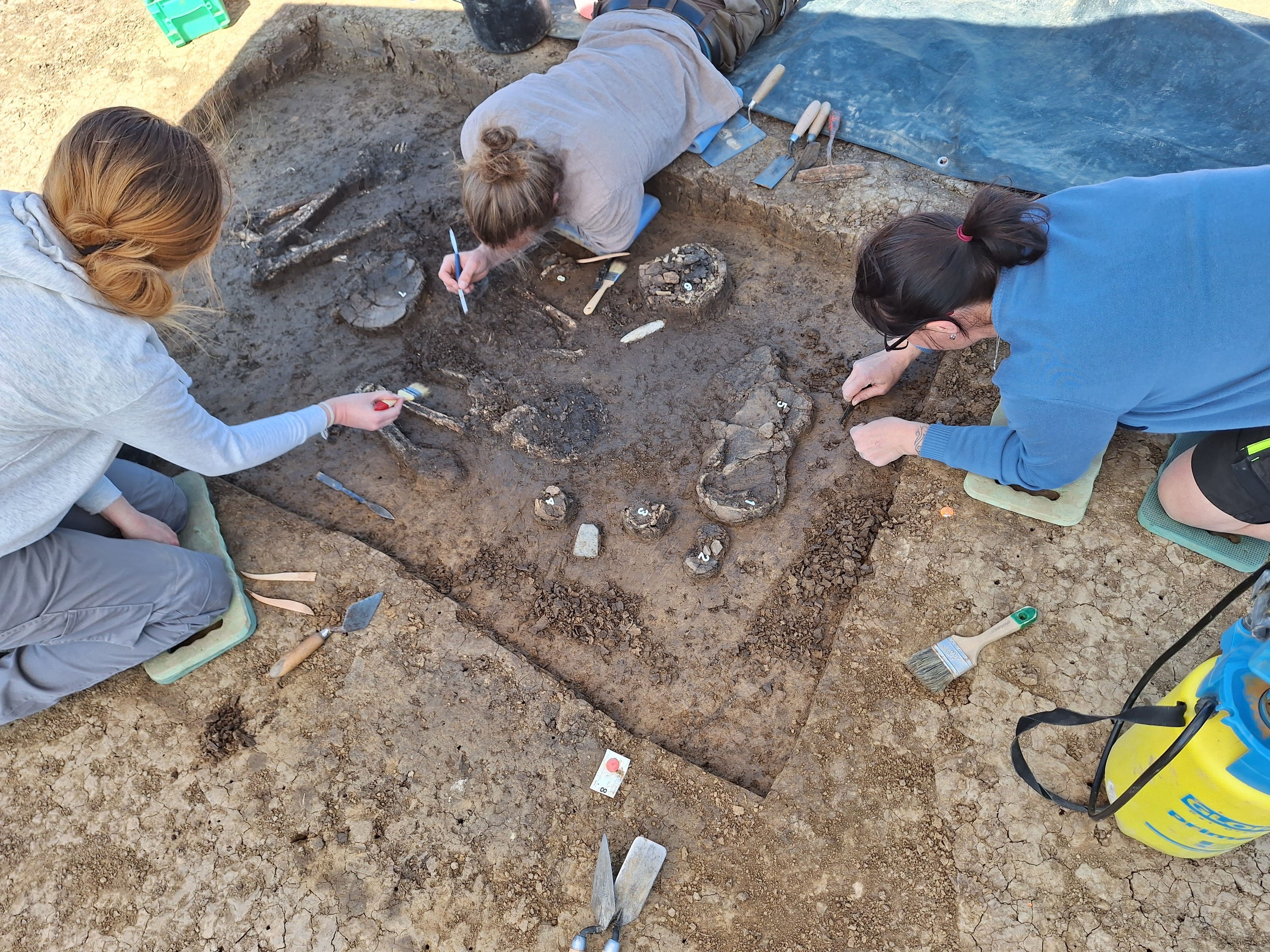 Ein 6800 Jahre altes Skelett ist in Exing in Niederbayern entdeckt worden.