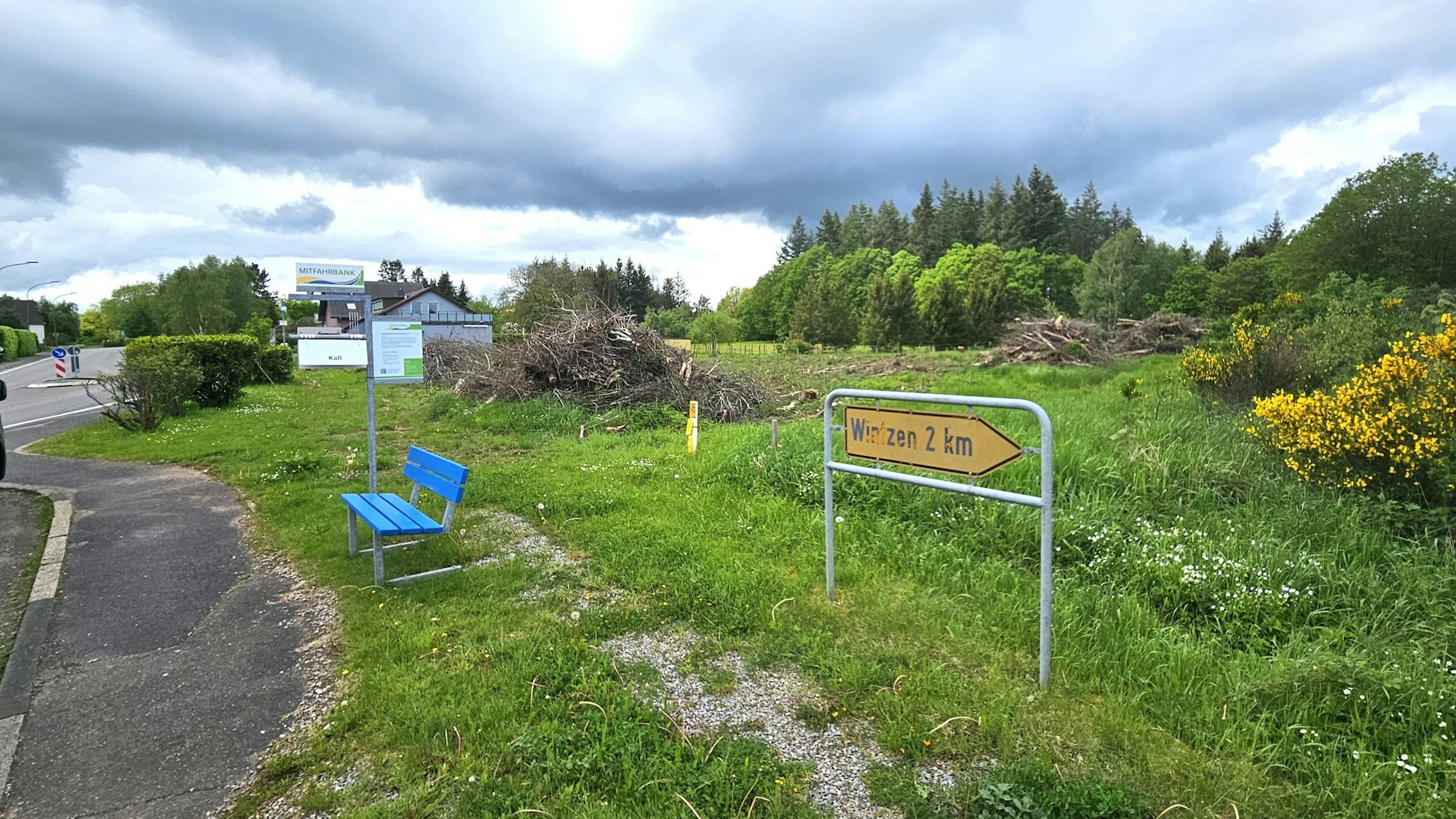 Gräser, Ginster und Büsche wachsen an einem Grundstück in Schleiden-Broich, auf dem die neue Polizeiwache gebaut werden könnte.
