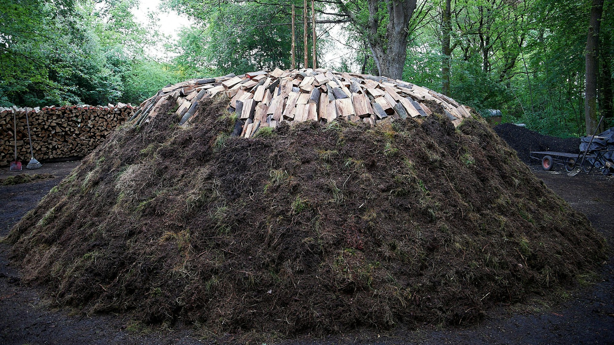 Der Düttlinger Kohlemeiler: Unten ist er mit Grassoden bedeckt, oben liegen die Holzscheite noch offen.