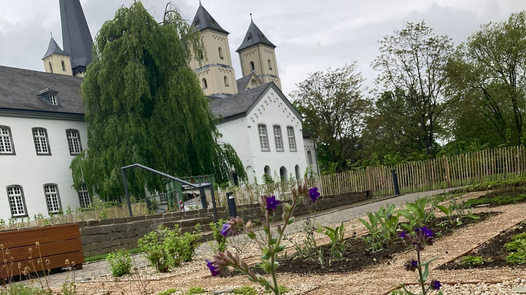 Im Vordergrund ist der frisch angelegt Klostergarten zu nennen, im Hintergrund die Kirche St. Nikolaus in Brauweiler und ein Wirtschaftsgebäude.