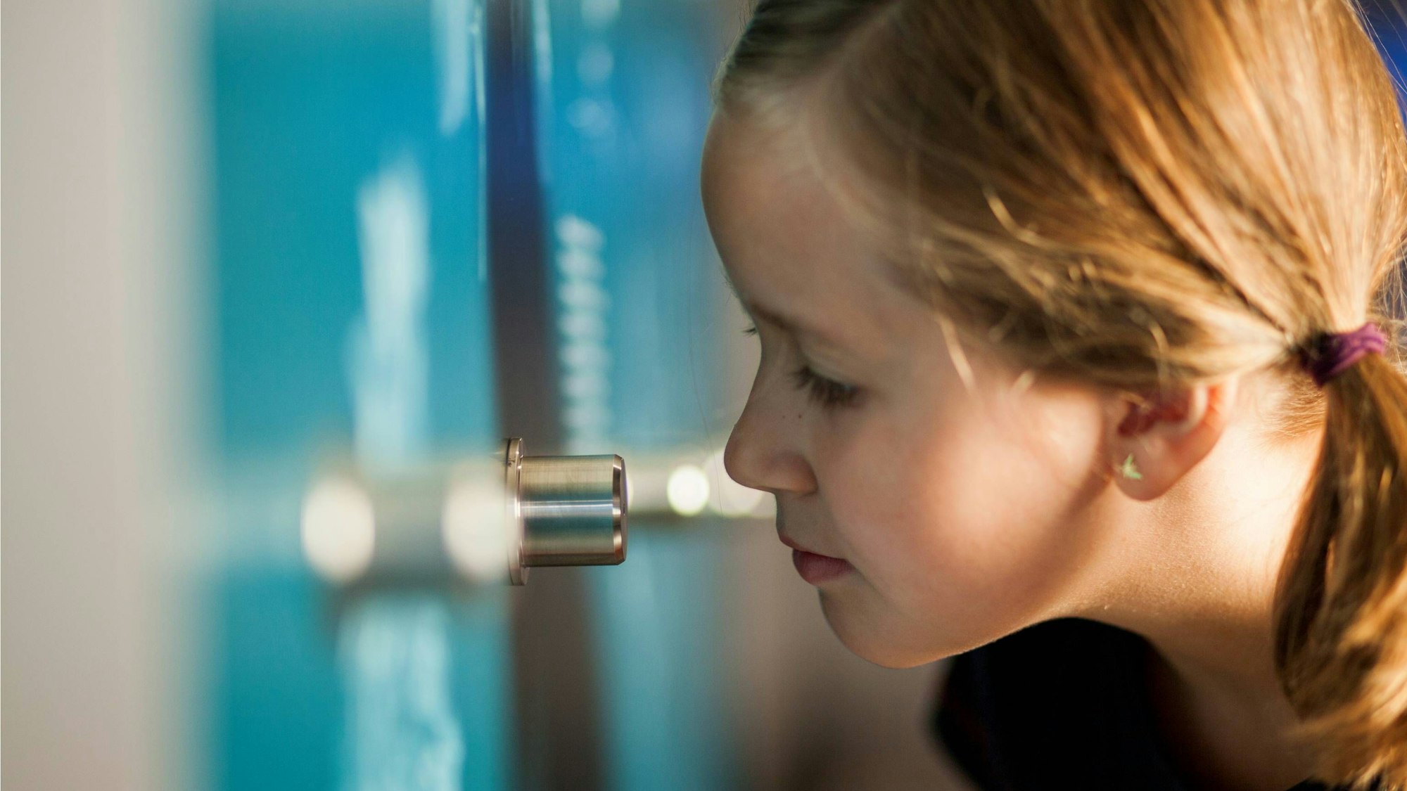 Römerthermen Zülpich, Duftwand-