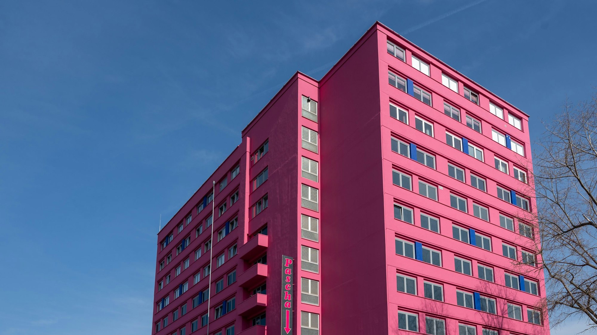 Das pinke Gebäude „des Pascha“ in der Hornstraße.